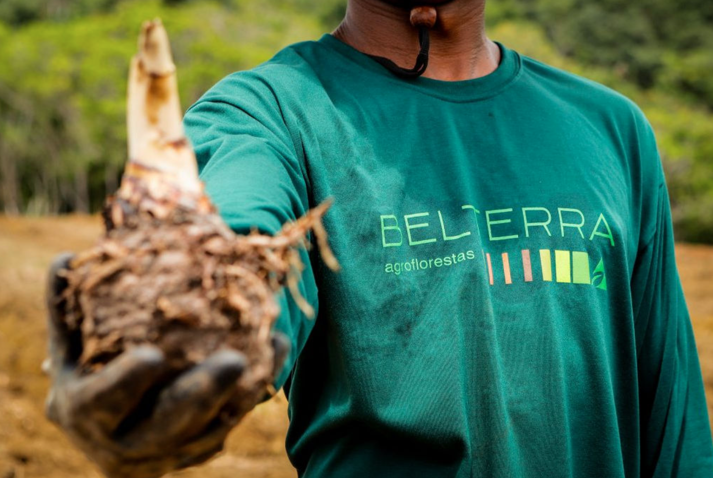 Parceiro Belterra Agroflorestal publica Relatório de Impacto Socioambiental